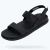Native Shoes Sandals^Ellis Sugarlite Jiffy Black/ Jiffy Black
